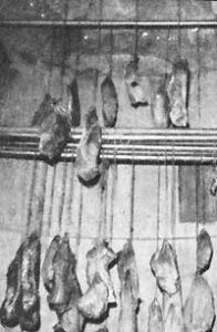 Substitute Breakfast Ham With Your Own Cured Smoked Venison Image